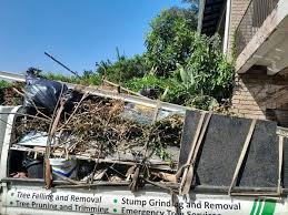 Best Shed Removal  in Mission, TX